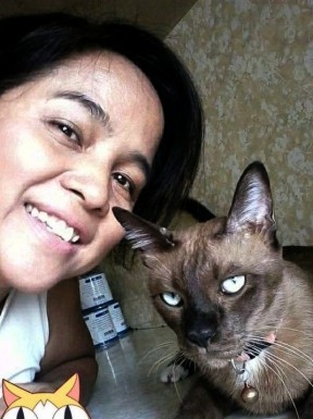 Thai women for dating / Thai ladies for dating