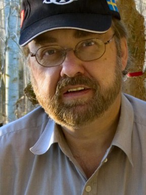 Swedish men looking for love