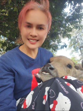 Thai women for dating / Thai ladies for dating