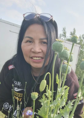 Thai women for dating / Thai ladies for dating