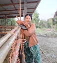 Suwita